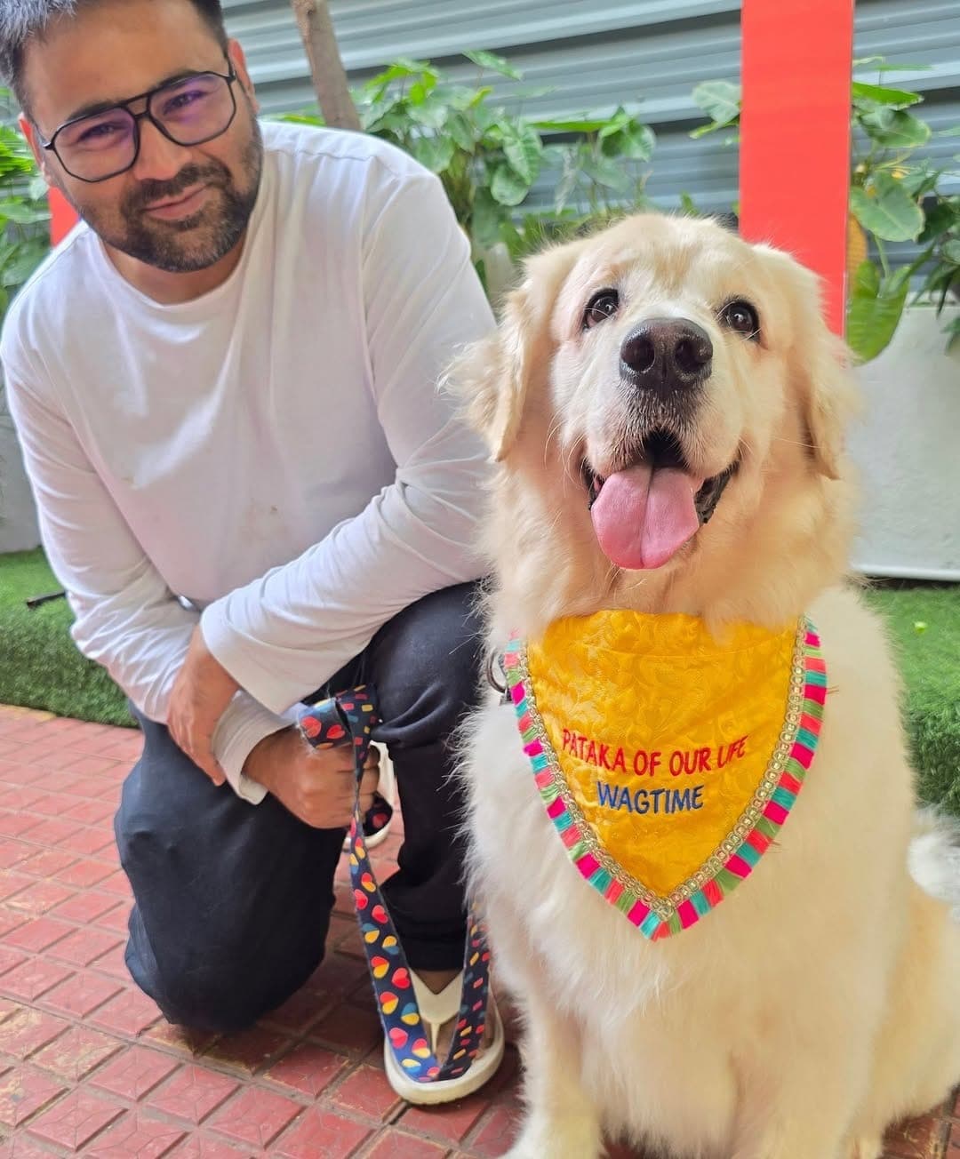 Happy pet at WagTime